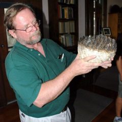 CRG-Scientists-15-689x1030